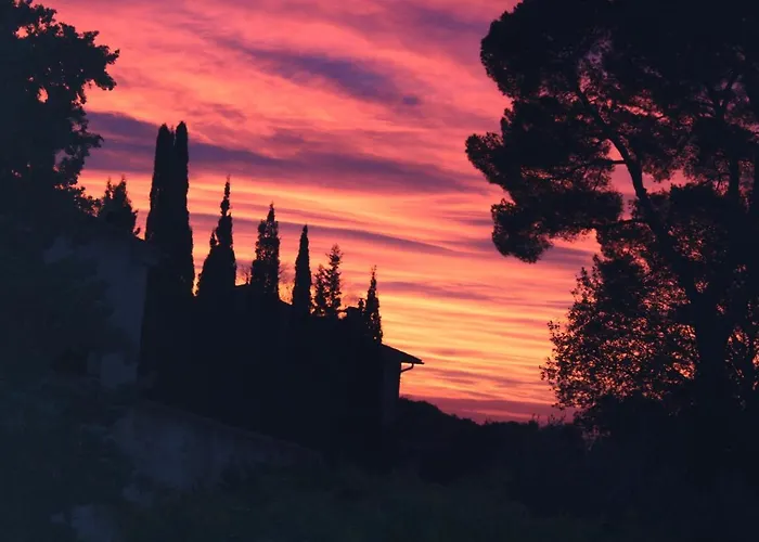 Ecole Buissonnière *