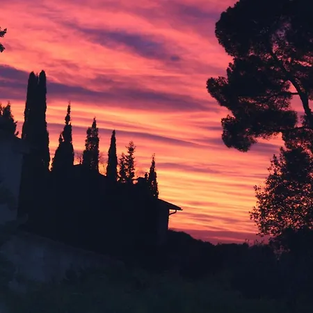 Ecole Buissonniere *