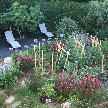 Ecole Buissonniere * Антиб